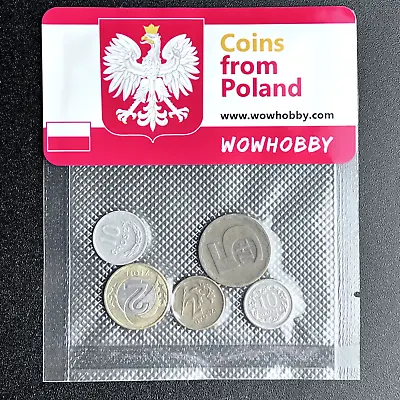 Polish Coins: 5 Unique Random Coins From Poland For Coin Collecting • $6.99