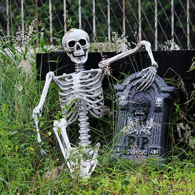 160cm/5.2ft Life Size Halloween Human Skeleton Party Window Decor Bones Posable • £27.95