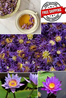 $8.09 • Buy Blue Lotus Flowers Nymphaea Caerulea Pure Organic Dehydrated  Herbal Drink 1.5oz