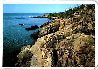 West Quoddy Head Lubec Maine  Postcard • £4.58