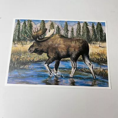 Lot Of 25 Moose Art Prints Blank Cards Stationary Post Cards 5” X 7” • $9.99