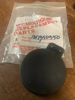 Multiquip 1317350350 QP-301A Pump Check Valve OEM Genuine • $59.95