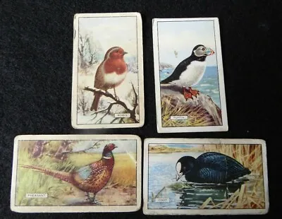 4 Gallaher 1937 British Birds Cigarette Cards • £0.99