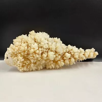 870g Natural Quartz Crystal Cluster Mineral Specimen Hand-carved The Fish Gift • $138