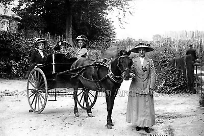 Yuu-75 Horse & Cart Hop Field Uckfield Sussex. Photo • $4.17