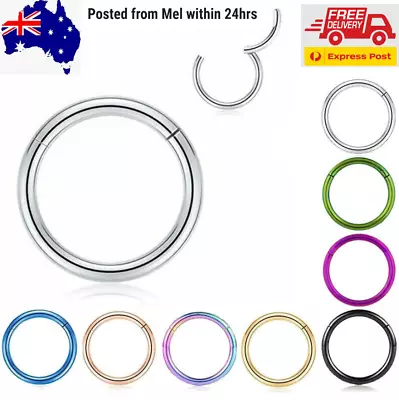 Stainless Steel Segment Hinged Clicker Ear Nose Body Ring Lip Hoop Piercing 1PC • $2.60