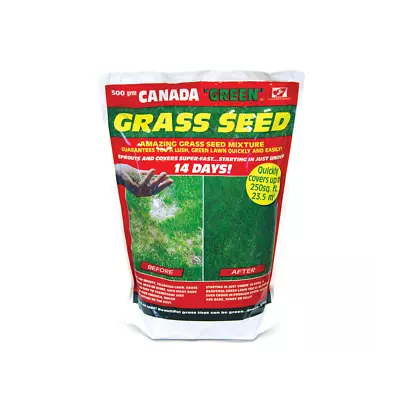 Grass Seed Spring Use Hardy Mixture Blend Lush Green Lawn Canada Green 500g • £18.95