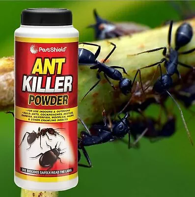 Ant Killer Powder Crawling Insect Wasp Nest Killer Pestshield Ant Powder 150g • £4.99