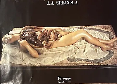 La Specola Wax Venus Anatomical Medical Model Oddity Realism Museum Poster Italy • $149.99