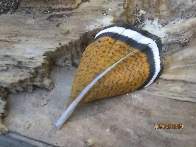 Wooden Carved And Painted Wood Duck Feather Pin By Robert Lis Master Carver • $35