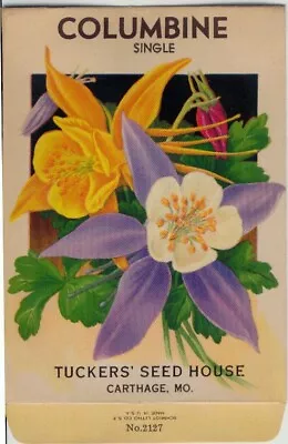 Vintage Flower Seed Packet  Columbine   NO SEEDS  1920s Original Lithograph • $8