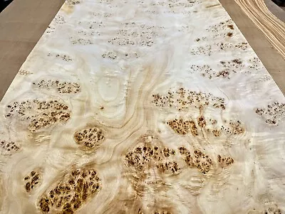 Mappa Burl Wood Veneer Sheet 32  X 89  With Wood Backer X 1/25  Thickness AA • $500