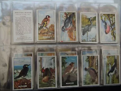 One Complete Set  Cigarette Cards Gallaher British Birds • £0.99