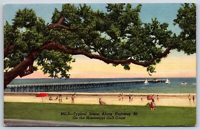 Postcard Typical Scene Along Hwy. 90 On The Mississippi Gulf Coast MS Unposted • $5.50