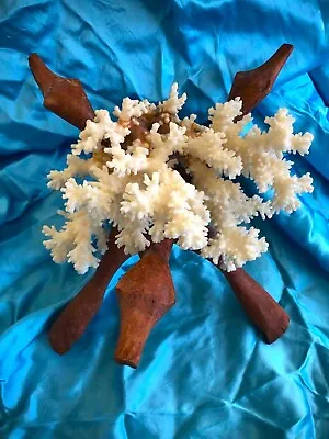 Natural Dried Ocean 9  Coral ~Nautical ~Beach Decoration W/ Carved Wood Stand • $32