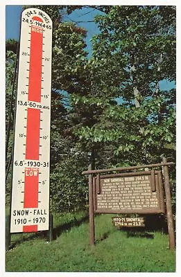 Barometer Of Snowfalls Near Mohawk Keweenaw County Michigan • $5.99