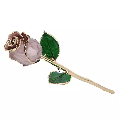 24K Gold Plated Rose Flower For Birthday Valentine's Day Gift Decor Ornament DXS • $70.29