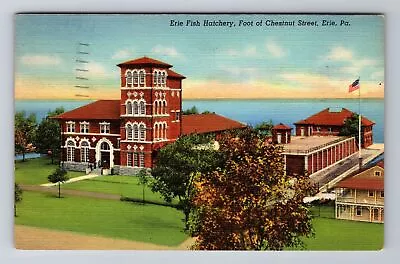 Erie PA-Pennsylvania Erie Fish Hatchery Antique Vintage C1940 Postcard • $8.99