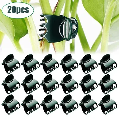 20PCS Plastic Orchid Plant Garden Clips Vegetable Support Flower Holding Stake • £3.96