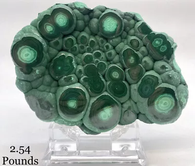 Bullseye Malachite Mineral Polished 2.5# Specimen With Stand • $275