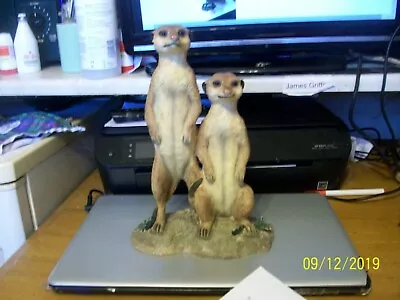£20 • Buy Meerkat Ornament 