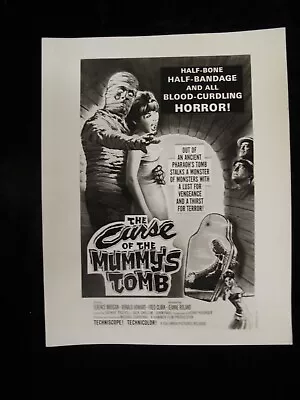 THE CURSE OF THE MUMMY'S TOMB Great 8x10 Art Work Still • $14.95