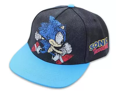 Sonic The Hedgehog Adjustable Distressed Baseball Hat | One Size • $19.98