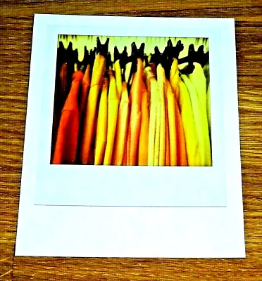 The Impossible Spectrum Project Photograph Postcard ~ A Rail Of Hanging Shirts • £1.50