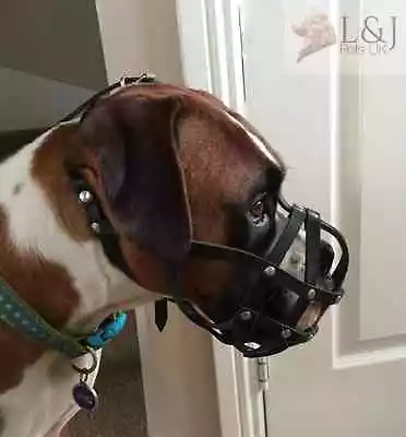 £22.50 • Buy Leather Dog Muzzle For Boxer And Other Dogs With Short Snout