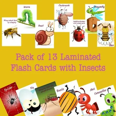 Insects Laminated Flash Cards Babies Toddler Non Verbal EYFS SEN Pack Of 13  • £3.70