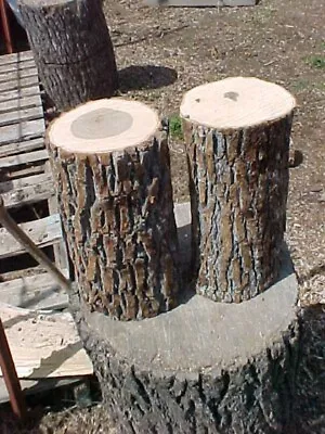 2 Large  Fresh Oregon White Oak Logs For Growing Mushrooms 4.5 To 6  & 12  Long • $40