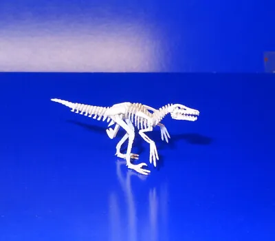 TINY Dollhouse Dinosaur Skeleton Velociraptor Laser Cut Model Miniature • $64.95