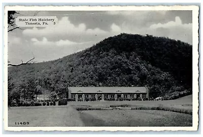 1940 Overlooking View State Fish Hatchery Tionesta Pennsylvania Vintage Postcard • $9.72