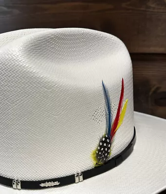 Classic Colored  Cowboy Hat Feather-5023 • $11.69