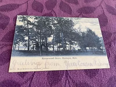 1905  Ravenswood  Grove Montague   MI UDB Postcard • $15.70