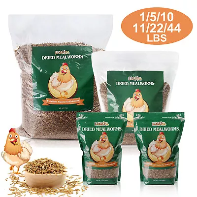 Wholesale Bulk Dried Mealworms For Wild Birds Food Blue Bird Chickens Hen Treats • $149.98