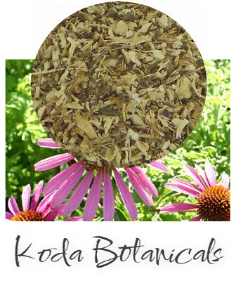 ECHINACEA Cold & Flu Herbal Tea PREMIUM GRADE Echinacea Purpurea Dried Root • $11.50