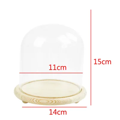 £8.95 • Buy Decorative Glass Dome With Wooden Base Cloche Bell Jar DIY Display Stand Decor