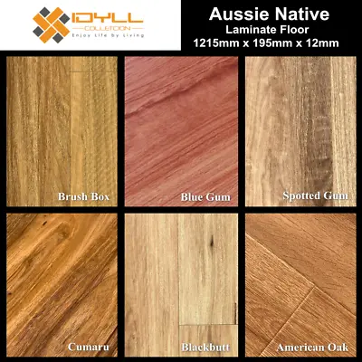 12mm Idyll Laminate Flooring Sample Floating Timber Floor Boards Click Lock • $1