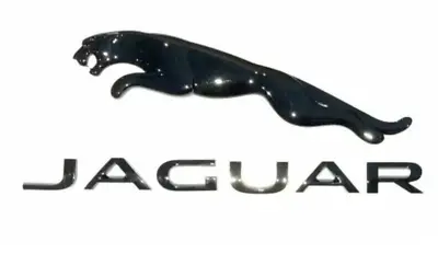 Jaguar Black  Cat 16.5 Boot Emblem Logo Script 18.5 Badge  F X S TYPE XF XJ E XE • £15.99