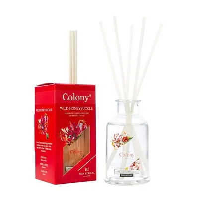 Wax Lyrical Colony Reed Diffuser - Wild Honeysuckle 100ml 🌹 🌻 🌷 🌼 • £9.99