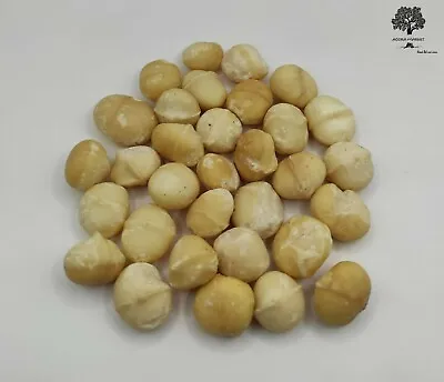 Raw Macadamia Nuts 40g - 1.95Kg Premium Quality • $12.30