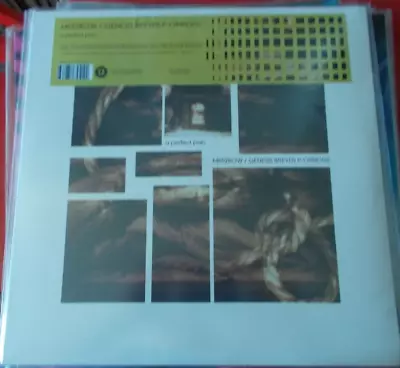 Merzbow/gp-o - A Perfect Pain - 2018 Cold Spring Sealed Remast Ltd Gold Vinyl Lp • £23