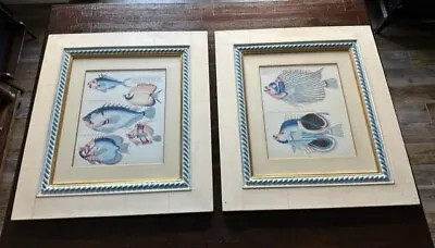 (2)Vintage Framed Whimsical Fish Wall Art Illustrations By Louis Renard 25 X 22 • $20