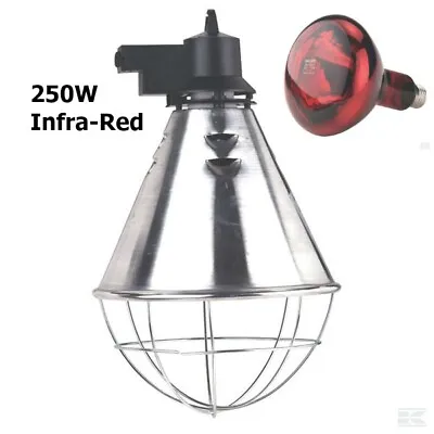 INFRA RED HEAT LAMP BULB Ruby 250w For Chicks Dogs Puppies Cats Infrared OPTIONS • £9.20