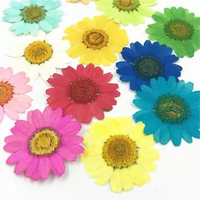 Dried Flowers Resin Mold Beauty Nail Art Decals Jewelry Making Mold Decor 12pcs • $11.82
