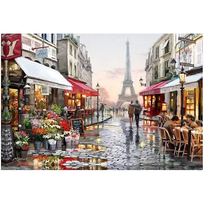 Paint By Numbers Kit Oil Digital Painting Wall Art Picture Bedroom 40*50cm  • £5.95