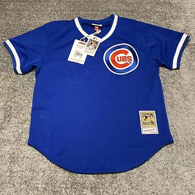 Mitchell & Ness Chicago Cubs Ryne Sandberg Mens Jersey Medium Blue Baseball NWT • $55.99