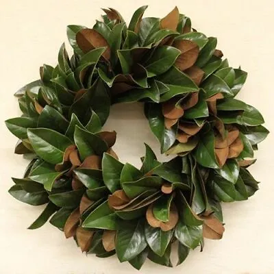 Fresh NC Sweet Southern Magnolia Christmas Wreath Wreaths APX  24-inch  • $45