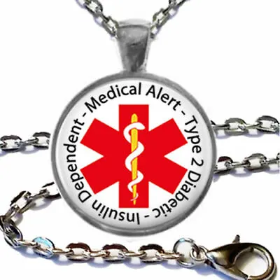 TYPE 2 DIABETIC ALERT MEDICAL Pendant Sterling 925 Silver Plated 24  Necklace • $19.88